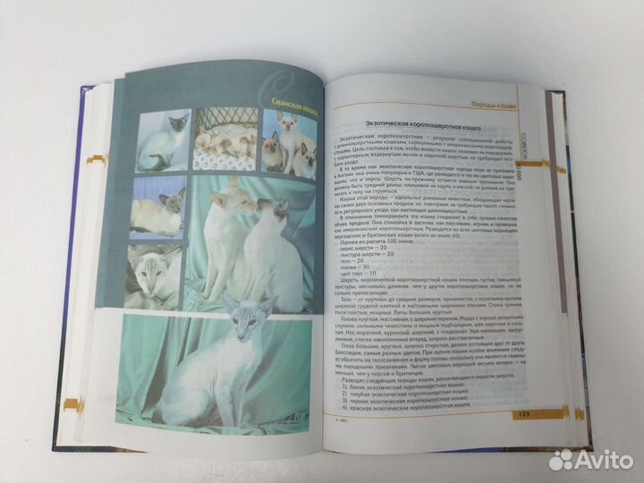 Энциклопедия о кошках