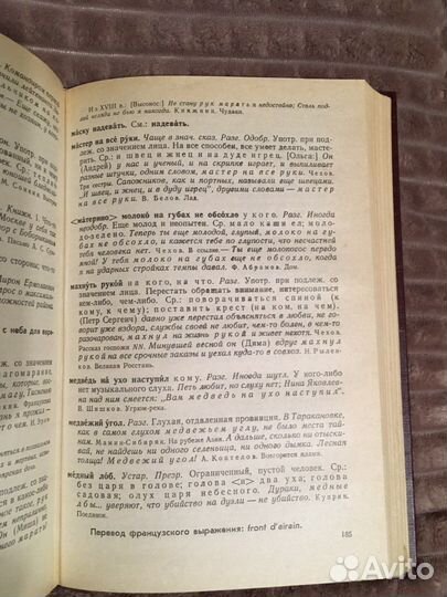 Школьный фразеологический словарь русского языка