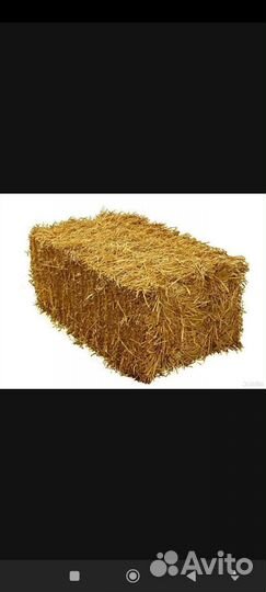Солома ячменная в тюках