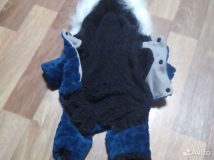 Одежда для маленьких собак