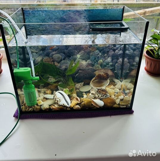 Аквариум с рыбками