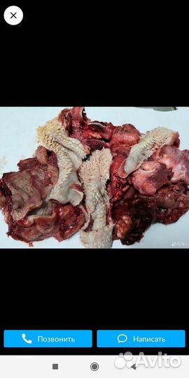 Мясо из головного