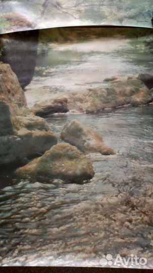 Фотообои немецкие бумажные