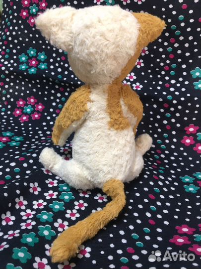 Котенок-тедди