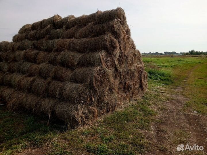 Сено в мини рулонах