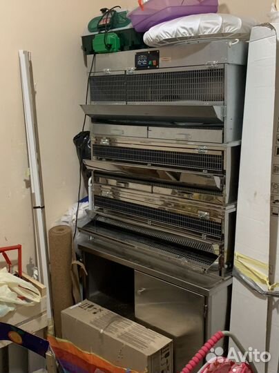 Клетки для перепелов