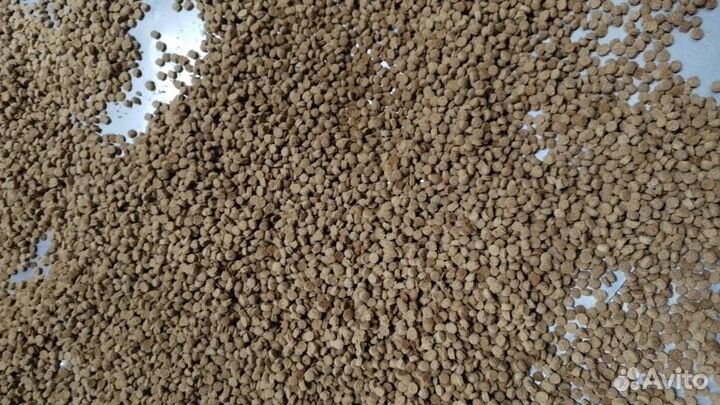 Корм для собак, кошек