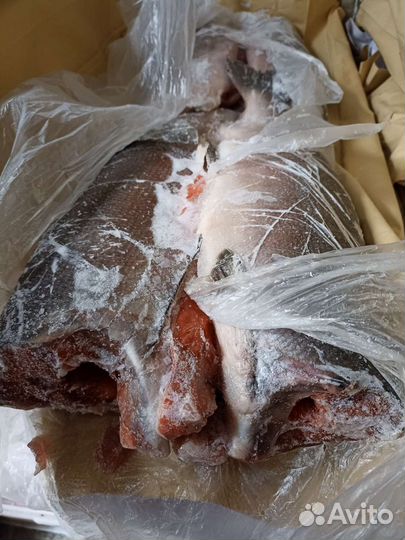 Рыба кижуч свежемороженый