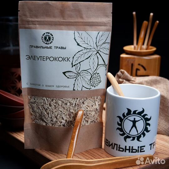 Элеутерококк