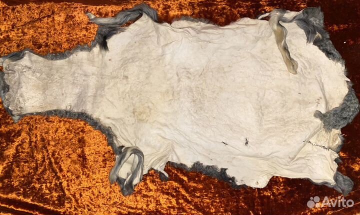 Шкуры для генеральской папахи или воротника