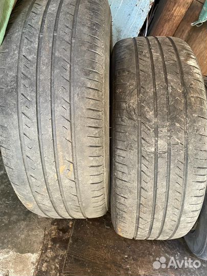 Rapid P309 205/55 R16