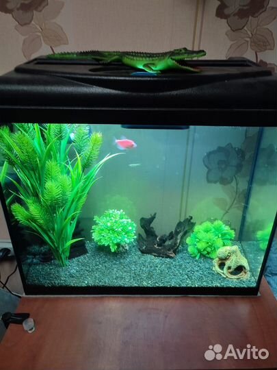 Аквариум 70 литров + комплектующие