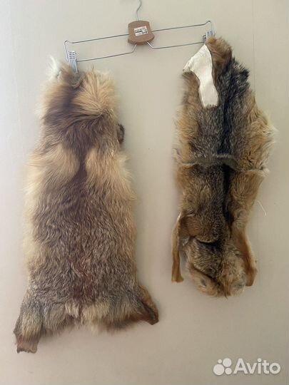 Шкура (мех) лисы рыжая (без хвоста)