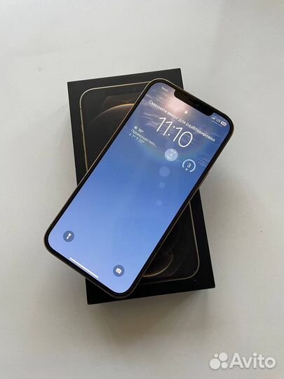 iPhone 12 Pro Max, 256 ГБ
