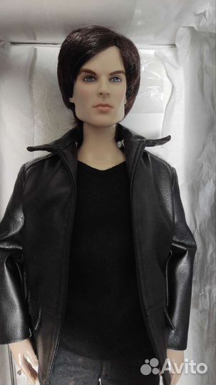 Кукла (Tonner) Деймон Сальватор