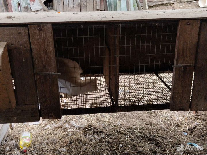 Клетка для кролика