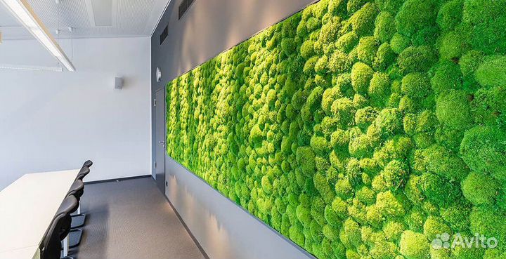 Стабилизированный мох, кочка бархатная