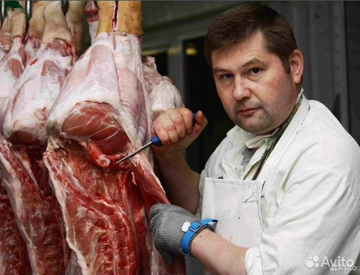 Инвестиции в действующий бизнес, доход 32721 в мес