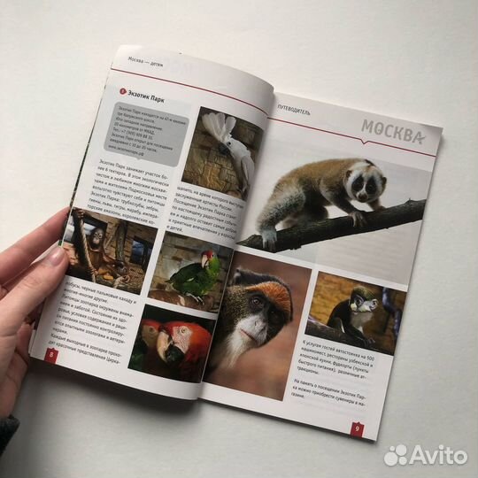 Путеводитель по Москве