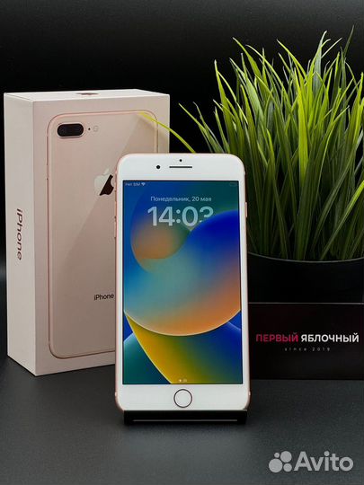 iPhone 8 Plus, 128 ГБ