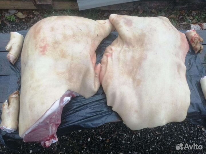 Мясо свинина, домашняя