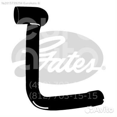 Патрубок focus 1 радиатора низ 1,6 Зетек Е