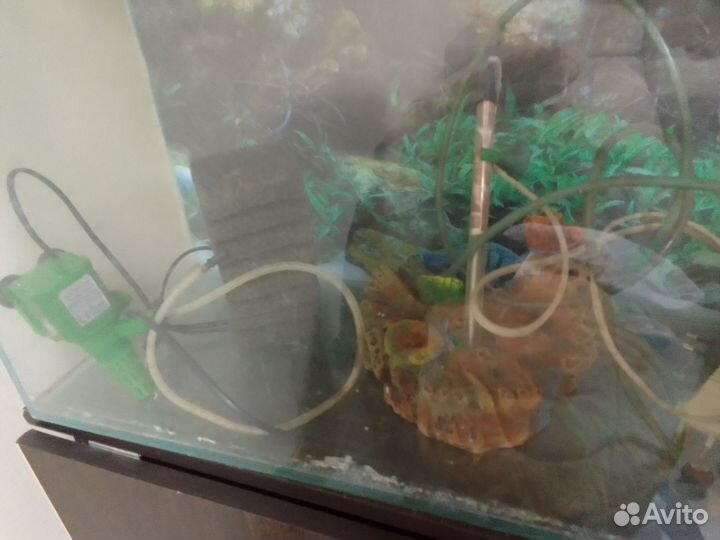 Аквариум