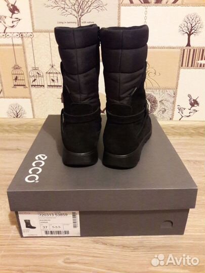 Новые полусапожки ecco