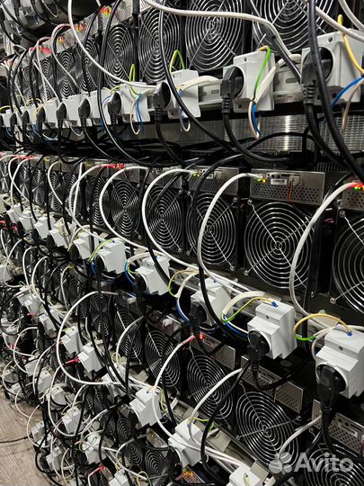 Майнинг отель / Хостинг / Размещение Асиков