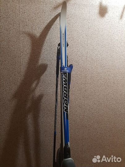 Беговые лыжи