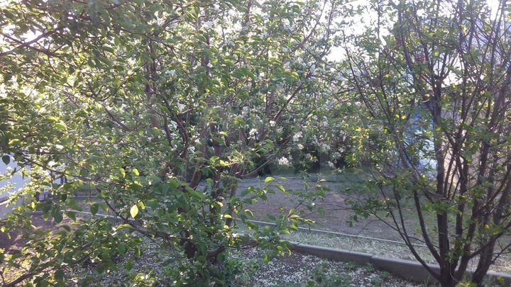 6-к. квартира, 118 м², 2/2 эт.