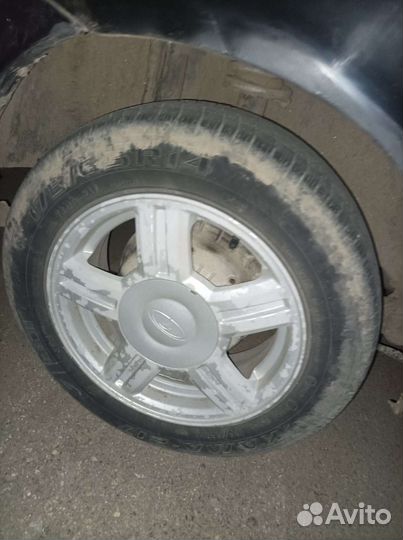 Торусы r14