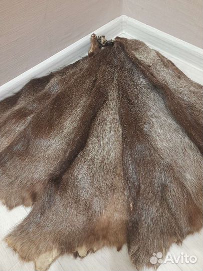 Шкуры нутрии выделанные