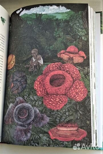 Вокруг света за 80 растений. Джонатан Дрори