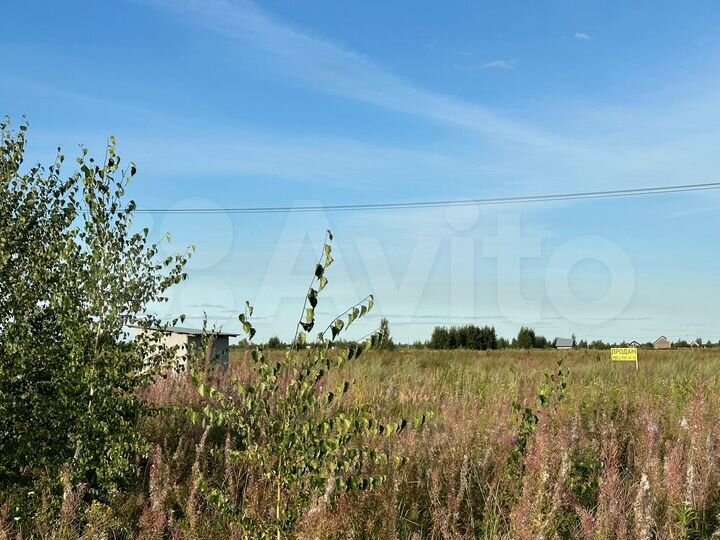 Участок 8,5 сот. (СНТ, ДНП)