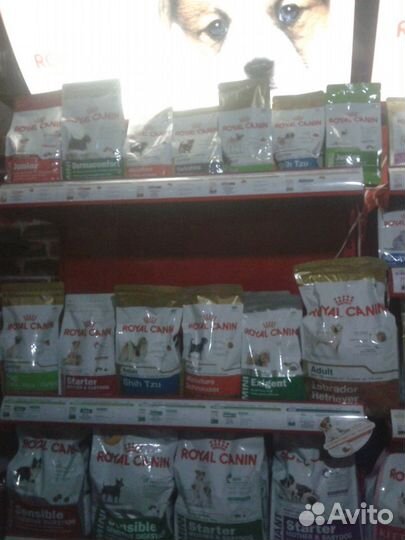Корма для кошек и собак