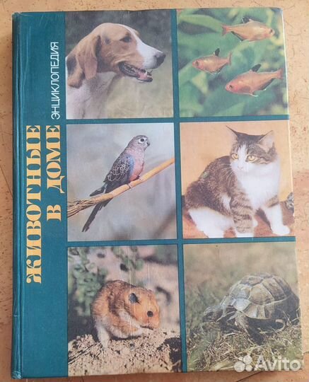 Энциклопедия. Животные в доме