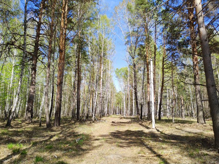 Участок 67 сот. (СНТ, ДНП)