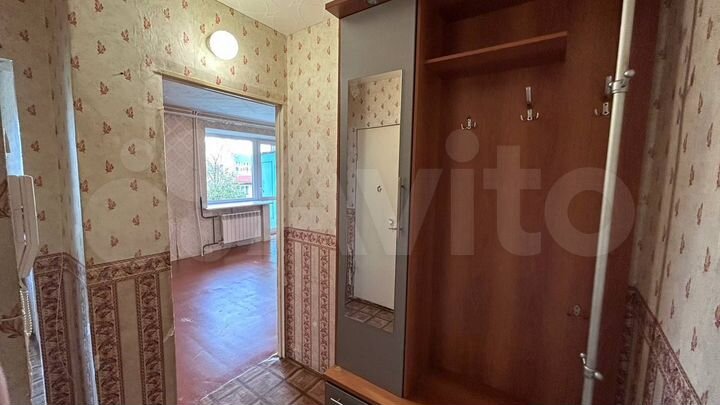1-к. квартира, 33,8 м², 2/5 эт.