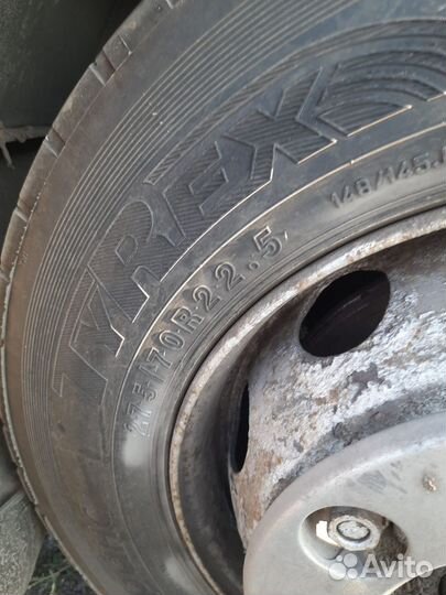 Шины 275 70 22 5