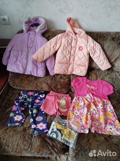 Отдам бесплатно