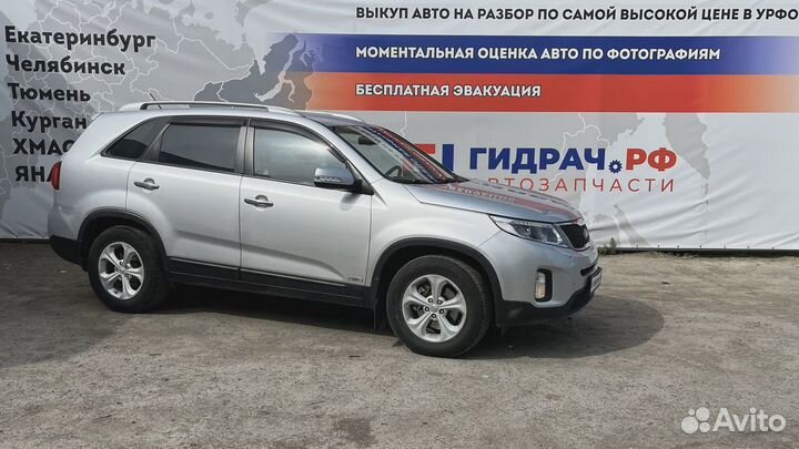 Проводка двери передней левой Kia Sorento (XM) 916