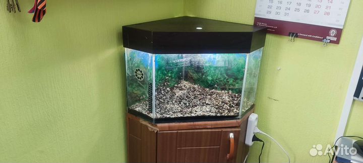 Аквариум с тумбой бу