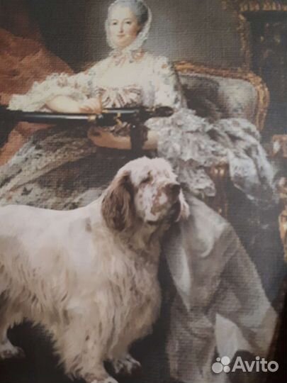 Энциклопедия,Собаки мира 