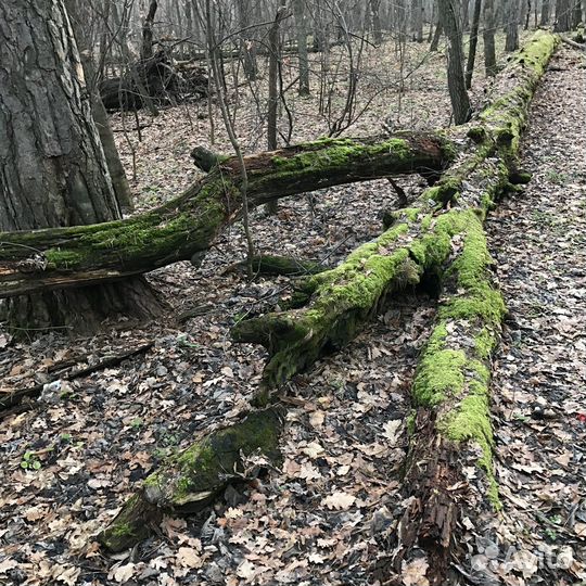 Дизайн обложек виниловых пластинок