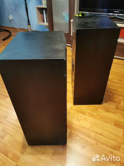 Колонки радиотехника S90b