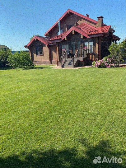 Укладка газона