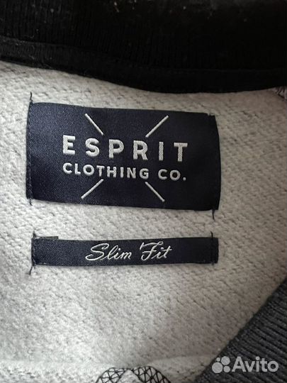 Свитшот мужской esprit