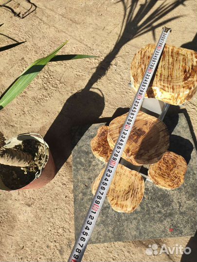 Цветочница