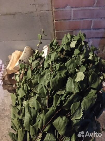 Свежие березовые веники